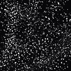 S9 9SW0 Galaxy Black